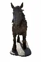 B1488_02.webp