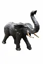 B1560_01.webp