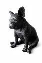 BS1412B_01.webp
