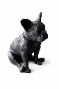 BS1412B_02.webp