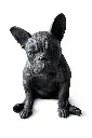 BS1412B_02.webp