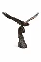 B1574_01.webp