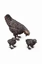 BS1126B_01.webp