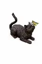 BS1192B_01.webp