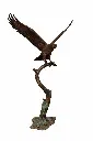 B1555_01.webp
