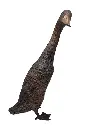 BS1517B_01.webp