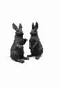 B1558_01.webp