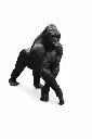 B1422_01.webp