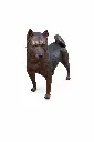 B22110_01.webp