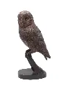 BS1428B_01.webp