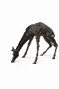 B55018_01.webp