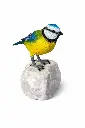 BS1542C_01.webp