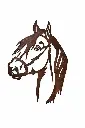 MD14240_01.webp