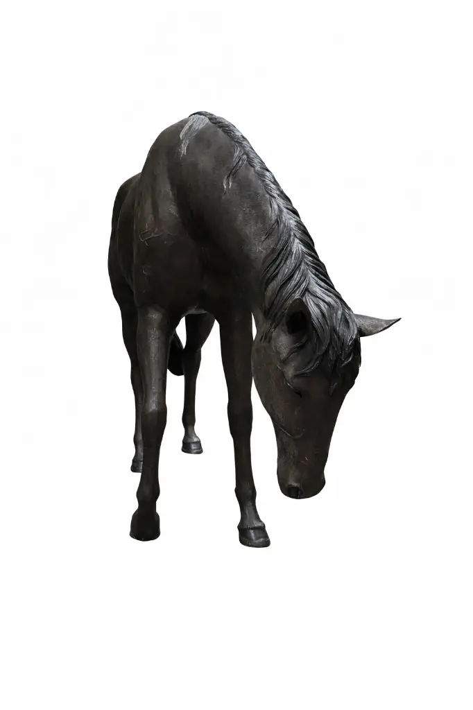 B1155R_02.webp