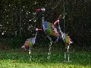 MD16100_03.webp