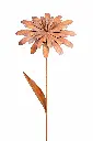 MD14018_02.webp
