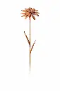 MD14018_01.webp