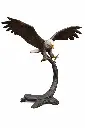 B91359_01.webp