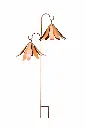 MD14111_01.webp
