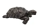 BS1158B_01.webp