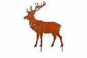 MD14183 (1).webp