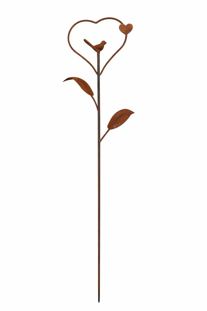 MD70129_01.webp