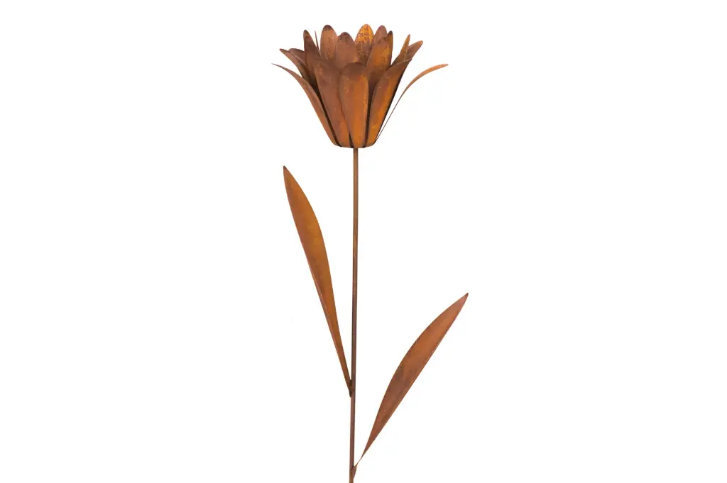 MD14014_01.webp