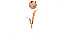 MD70027_01.webp