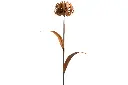 MD70028_01.webp