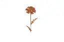 MD70029_01.webp