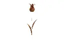 MD70036_01.webp