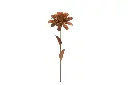 MD70046_01.webp
