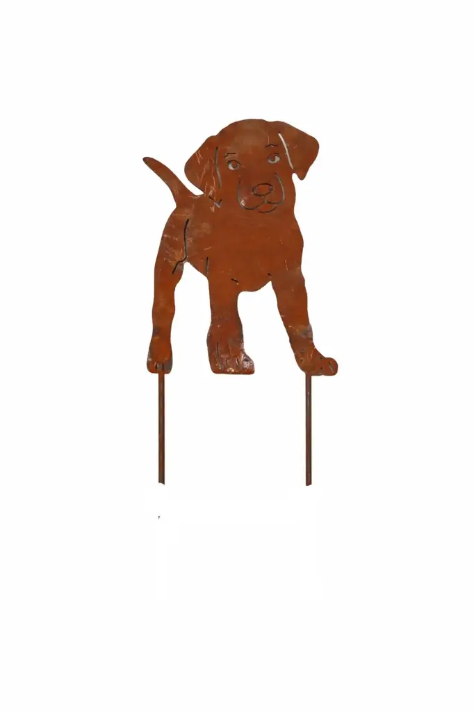 MD70143_01.webp