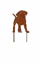 MD70143_01.webp