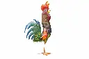 MD16231_01.webp