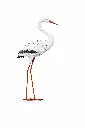 MD18223_01.webp