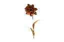 MD14028_01.webp