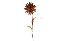 MD14030_01.webp