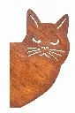 MD14149 (1).webp