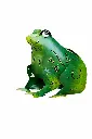MD16160 (1).webp