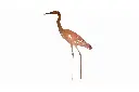 MD14001_01.webp