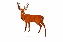 MD14181_01.webp