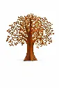 MD70068_01.webp