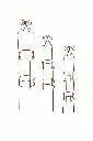 MD14213_01.webp