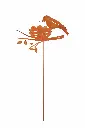 MD14127_01.webp