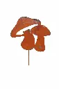 MD14166_01.webp