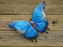 MD16064_01.webp