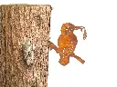 MD14066_01.webp