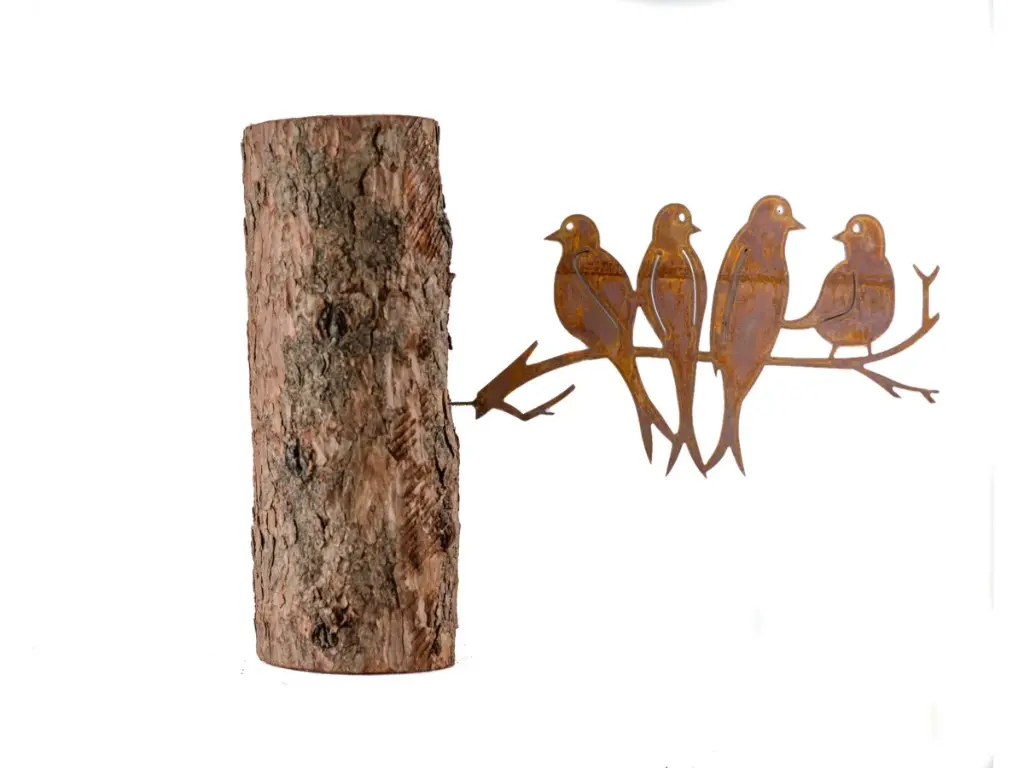 MD14072_01.webp