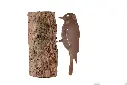 MD14075_01.webp